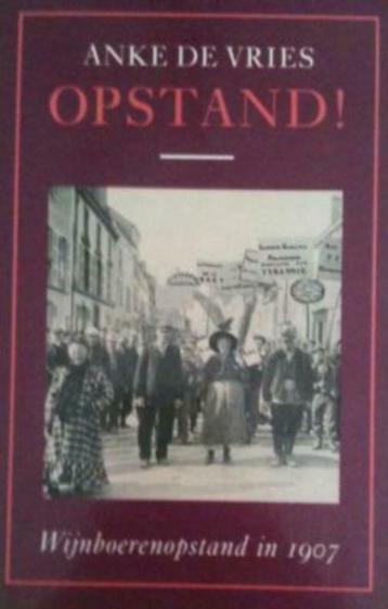 Opstand, Anke De Vries, Enlèvement