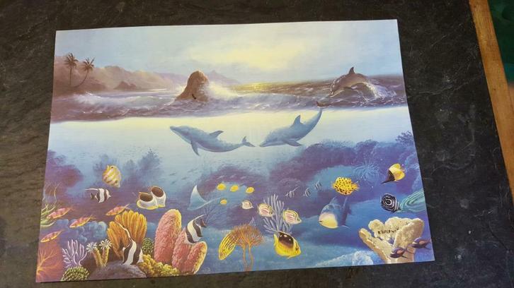 gravure naive provenant des caraibes - mer dauphins N1, Sports nautiques & Bateaux, Plongée, Comme neuf, Enlèvement ou Envoi