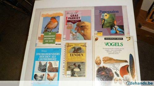 Vogels, Livres, Animaux & Animaux domestiques, Utilisé, Oiseaux, Enlèvement ou Envoi