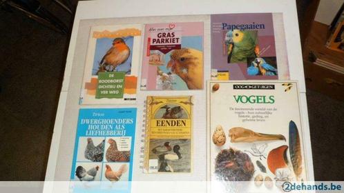 Vogels, Boeken, Dieren en Huisdieren, Gelezen, Vogels, Ophalen of Verzenden