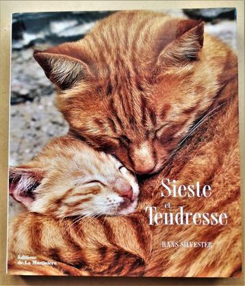 Sieste et Tendresse - Hans Silvester -1997/Livre Photo Chats, Enlèvement ou Envoi, Photographie général, Hans Silvester, Comme neuf