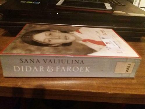 Roman. Didar en Faroek (Valiulina, Sana), Boeken, Romans, Gelezen, Nederland, Ophalen of Verzenden