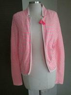 Maison Scotch 1, Kleding | Dames, Maison Scotch, Ophalen of Verzenden, Zo goed als nieuw