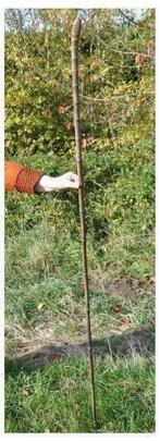 §  imposante canne de berger, Enlèvement, Utilisé