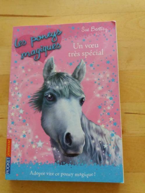 Livre Les poneys magiques : Un voeu très spécial, Boeken, Kinderboeken | Jeugd | onder 10 jaar, Zo goed als nieuw, Ophalen of Verzenden