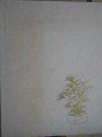 Rob Herwig en Margot Schubert, Het grote kamerplantenboek, Boeken, Gelezen, Bloemen, Planten en Bomen, Ophalen of Verzenden, Rob Herwig