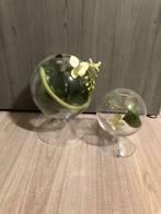 Glazen decoratie Sia, Ophalen