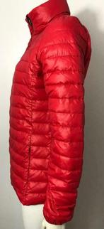 Veste courte Airforce, gilet - L - Neuf, Taille 38/40 (M), Airforce, Envoi, Neuf