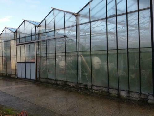 Te koop Glazen kas, Tuin en Terras, Kassen, Kweekkas, Glas