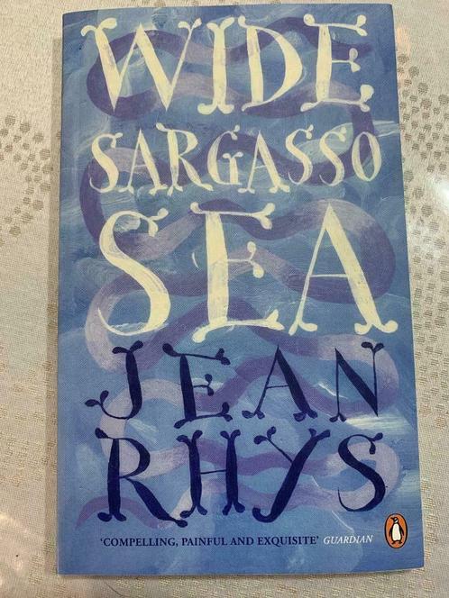 Wide Sargossa Sea, Jean Rhys (Paperback), Boeken, Kinderboeken | Jeugd | 13 jaar en ouder, Nieuw, Ophalen of Verzenden