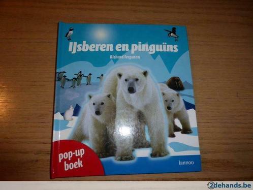 Educatief Pop-up boek Ijsberen en Pinguins, Boeken, Kinderboeken | Jeugd | onder 10 jaar, Gelezen