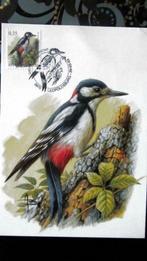 FIRST DAY OP KAART- VOGELS VAN BUZIN- DE GROTE BONTE SPECHT, Ophalen of Verzenden, Gestempeld, Dier of Natuur
