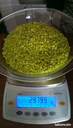 GRAVIER VERT ANIS, Enlèvement, Comme neuf