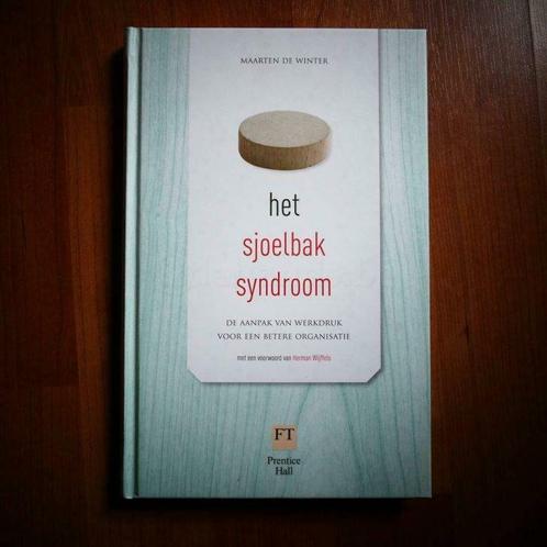 Maarten De Winter - Het sjoelbak syndroom (Uitgave: 2011), Livres, Économie, Management & Marketing, Neuf, Envoi