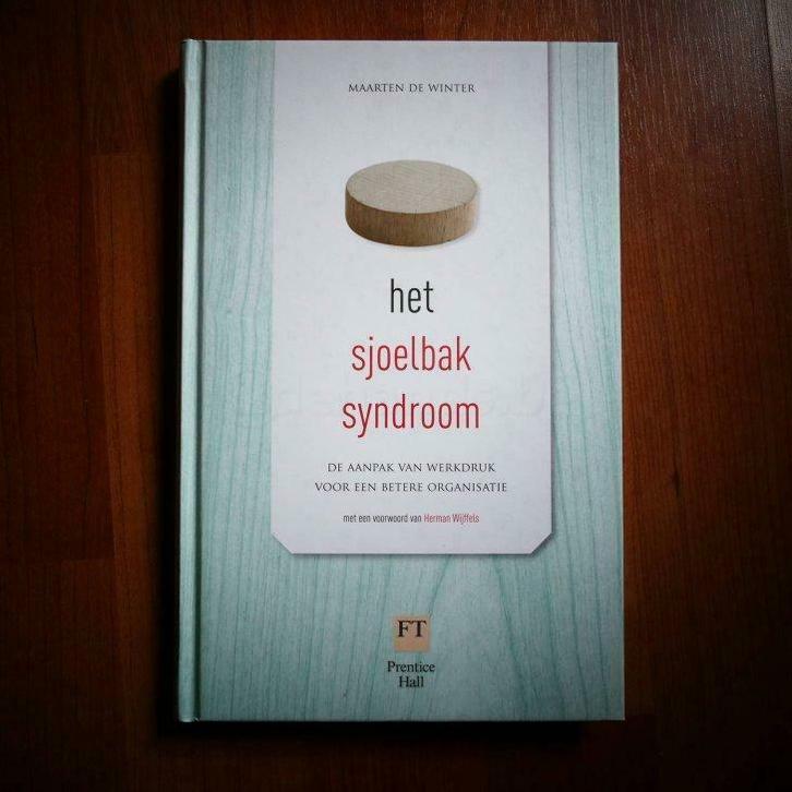 Maarten De Winter - Het sjoelbak syndroom (Uitgave: 2011), Boeken, Economie, Management en Marketing, Nieuw, Verzenden