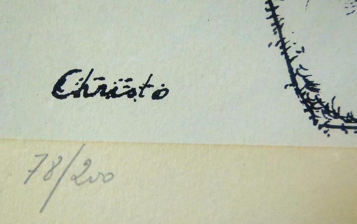 grafiek  Jan Burssens *  Christo *  portret, Antiek en Kunst, Kunst | Litho's en Zeefdrukken, Ophalen of Verzenden