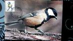 FIRST DAY OP KAART- VOGELS VAN BUZIN- DE KOOLMEES, Ophalen of Verzenden, Gestempeld, Dier of Natuur