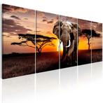 Canvas schilderij 5 luik Afrika Olifant 240 x 90 cm, Verzenden