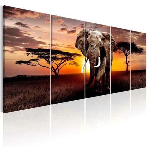 Canvas schilderij 5 luik Afrika Olifant 240 x 90 cm, Antiek en Kunst, Kunst | Schilderijen | Modern, Verzenden