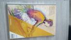Tekenpapier Aurora 15 vellen 210g (210x297mm), Ophalen of Verzenden