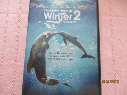 dvd  winter  le dauphin. 2., CD & DVD, DVD | Enfants & Jeunesse, Film, Tous les âges, Enlèvement ou Envoi