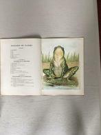 Vigot freres éditeurs 1937 - Anatomie de la grenouille, Antiquités & Art, Antiquités | Livres & Manuscrits, Enlèvement ou Envoi