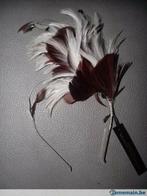 ASOS Fascinator feathers serre-tête avec plumes NEUF, Verzenden, Nieuw