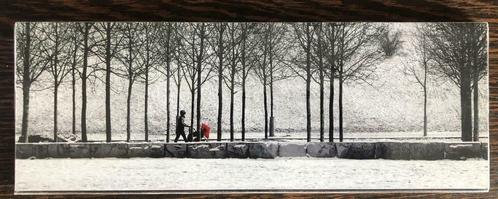 photo noir et blanc sur cadre, promenade d'un landau en hive, Verzamelen, Foto's en Prenten, Zo goed als nieuw, Foto, Natuur, 1980 tot heden