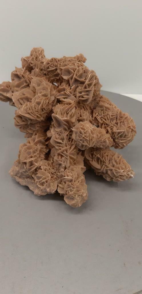 Grote woestijnroos. Goede staat afmetingen staan erbij, Verzamelen, Mineralen en Fossielen, Ophalen of Verzenden