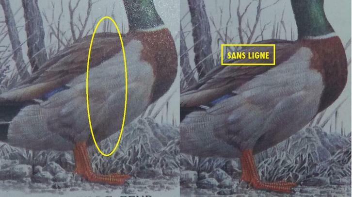 B19 Curiosité Carnet de Timbres Canards 1989 (Ligne verte..), Timbres & Monnaies, Timbres | Europe | Belgique, Timbre-poste, Enlèvement ou Envoi