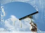 Lavage de vitres, Services & Professionnels, Lavage