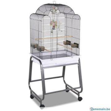 Cage oiseau kila cage canari voliere mandarin pinson XXL