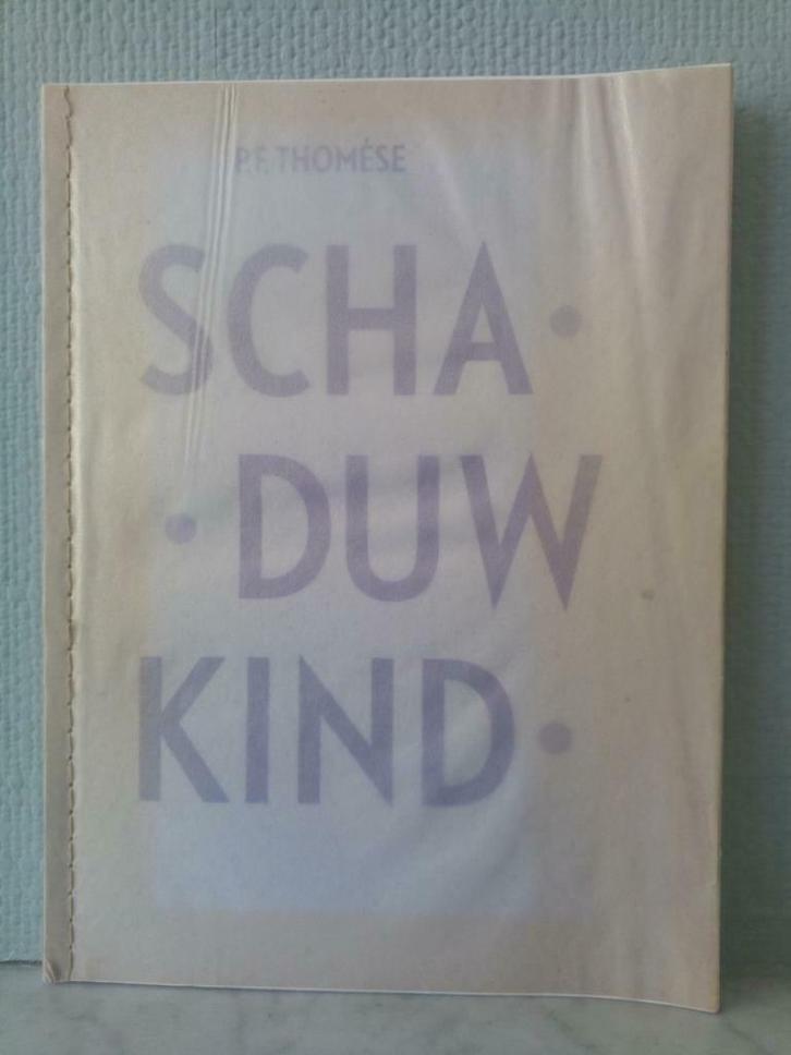 Schaduwkind - P.F. Thomése, Boeken, Literatuur, Gelezen, Nederland, Ophalen of Verzenden
