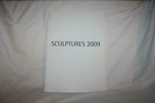 Sculptures 2009- Square Armand Steurs, Livres, Art & Culture | Arts plastiques, Utilisé, Design graphique, Enlèvement ou Envoi