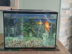 Aquarium, Dieren en Toebehoren, Ophalen, Zo goed als nieuw, Leeg aquarium