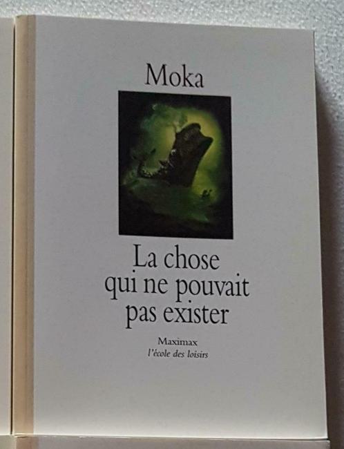 Het ding dat niet kon bestaan, Boeken, Fantasy, Ophalen of Verzenden