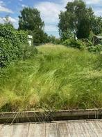 remise en état parc et jardin