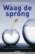 Waag de sprong - Gay Hendricks, Ophalen, Gelezen