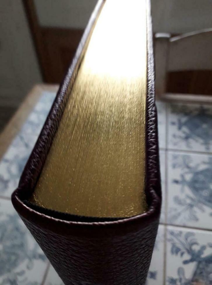 Livre LES FLEURS DU MAL CHARLES BAUDELAIRE, Livres, Poèmes & Poésie, Utilisé, Enlèvement