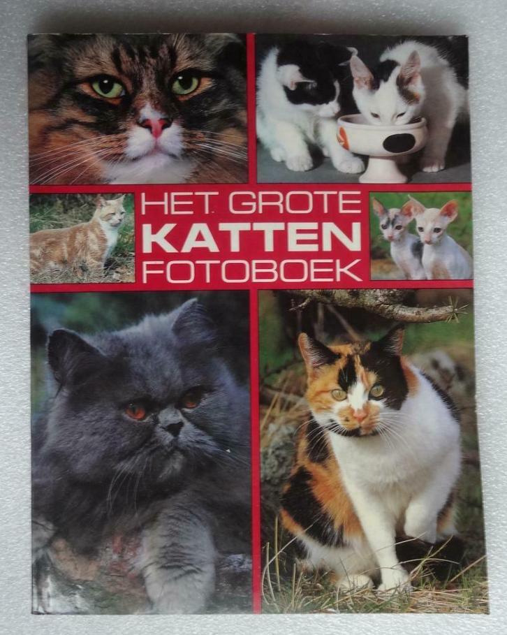 het grote kattenfotoboek, Boeken, Dieren en Huisdieren, Gelezen, Katten, Ophalen of Verzenden