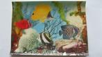 3 D postkaart Aquarium, Collections, Nature, Non affranchie, Enlèvement ou Envoi