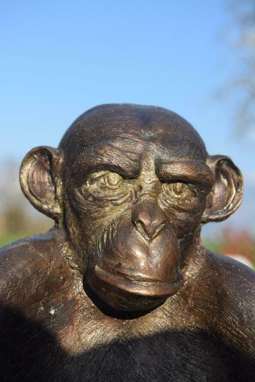 Le singe à la lecture (bronze animalier), Antiquités & Art, Art | Sculptures & Bois, Enlèvement ou Envoi