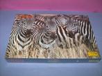 Puzzel: zebra's.  (1000 stukjes), Kinderen en Baby's, Speelgoed | Kinderpuzzels, Nieuw, Meer dan 50 stukjes, Ophalen of Verzenden