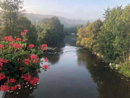 Camping International Durbuy gelegen aan rivier  Hoogseizoen, Vakantie, Campings, Dorp, Aan meer of rivier, In bergen of heuvels