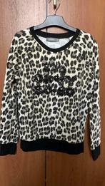 Sweater meisjes Geisha, maat 164, 14 j, in perfecte staat, Kinderen en Baby's, Geisha, Meisje, Ophalen of Verzenden, Zo goed als nieuw