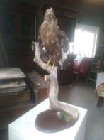 Roofvogel te koop, Ophalen