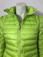 Gilet, veste Airforce - Veste matelassée - S - Neuf, Neuf, Airforce, Taille 36 (S), Vert