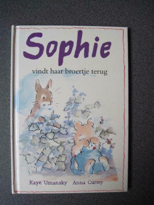 Sophie vindt haar broertje terug - boek, Boeken, Kinderboeken | Kleuters, Zo goed als nieuw, Fictie algemeen, 4 jaar, Voorleesboek