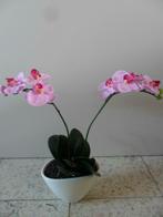 Kunst orchidee, Ophalen