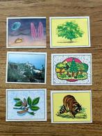 Panini : WWF - Leven Op Aarde, Verzamelen, Ophalen of Verzenden, Nieuw, Dier en Natuur
